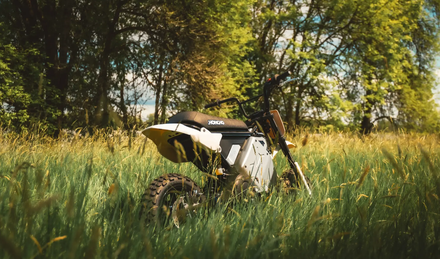 LIVEWIRE S4 HONCHO TRAIL