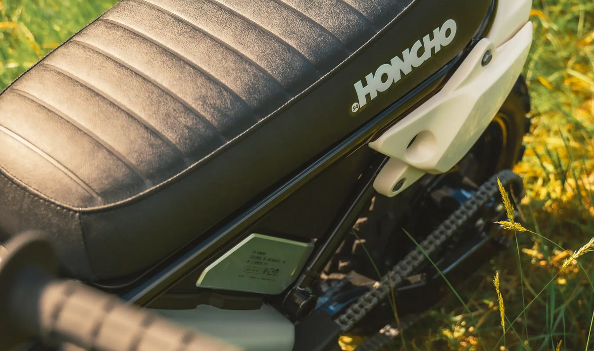 LIVEWIRE S4 HONCHO TRAIL