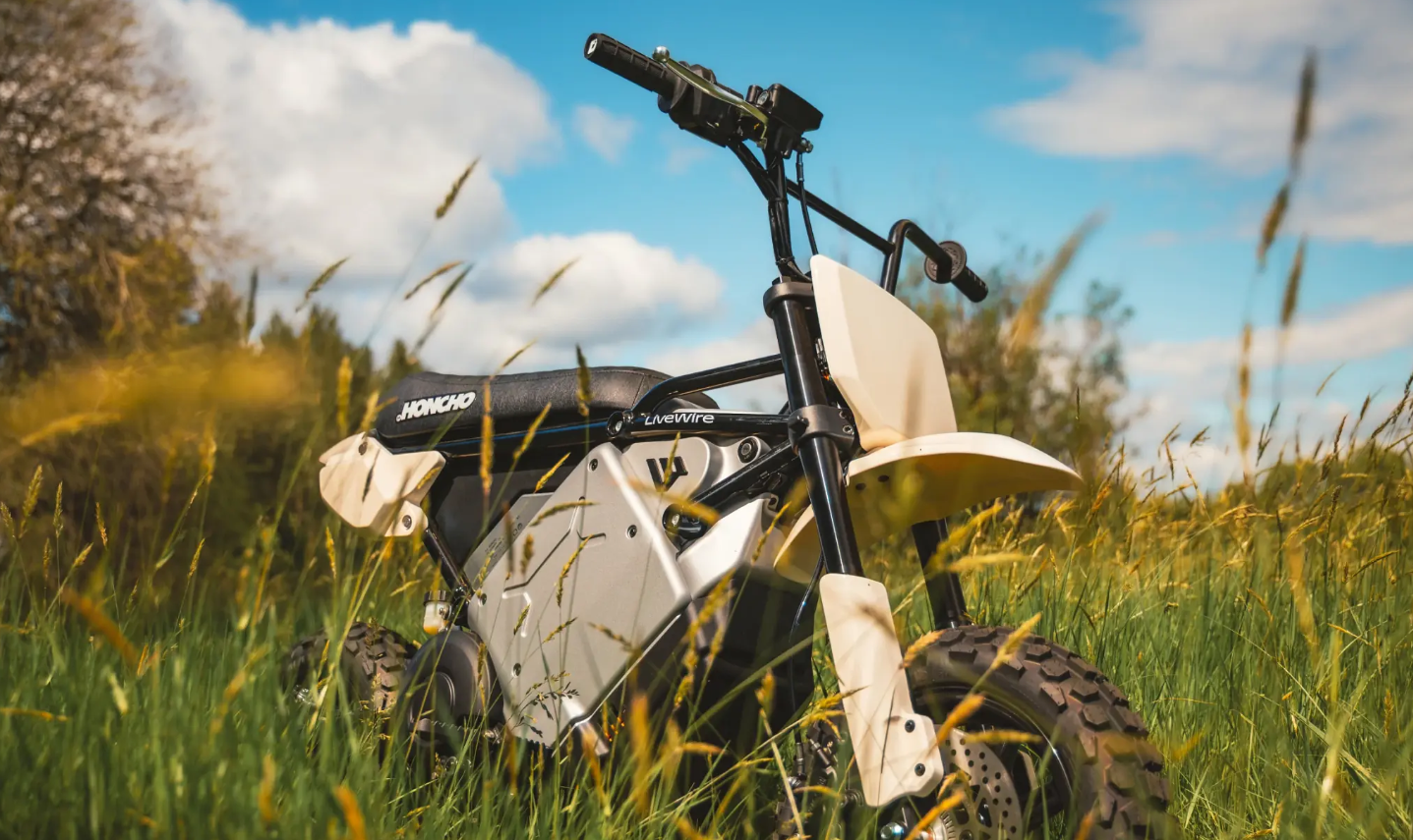 LIVEWIRE S4 HONCHO TRAIL